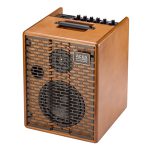 Acoustic Guitar Amps