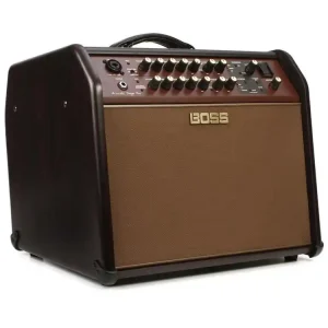 Boss Acoustic Singer Pro