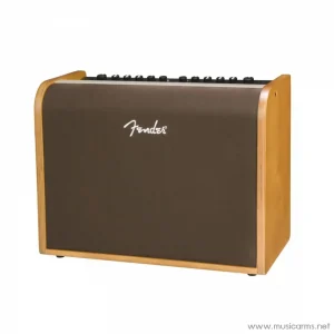 Fender Acoustic 100