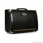 แอมป์กีต้าร์โปร่ง Peavey Ecoustic E208