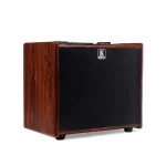 Kardon A40 แอมป์กีตาร์โปร่ง