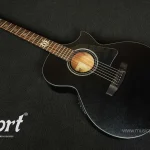 Cort EVL-A6