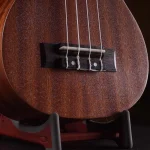 Ukulele Feelin FL-21A