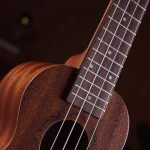 Ukulele Feelin FL-21A