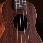 Ukulele Feelin FL-21A