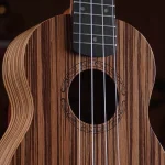 Ukulele Feelin FL-21B