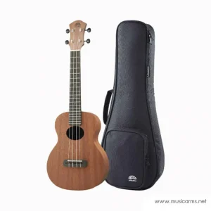 aNueNue B2 Concert Ukulele