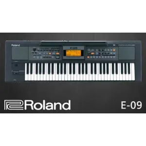 Roland E-09 Keyboards