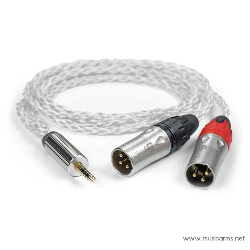 IFI AUDIO 4.4 to 4.4 Cable/