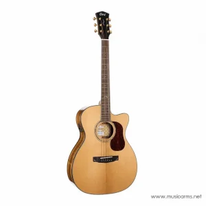 Cort Gold-OC6 Bocote
